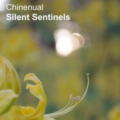 Silent Sentinels [naviarhaiku494]