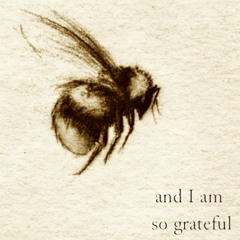 bumblebee