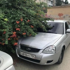 Ну Жигани Братан