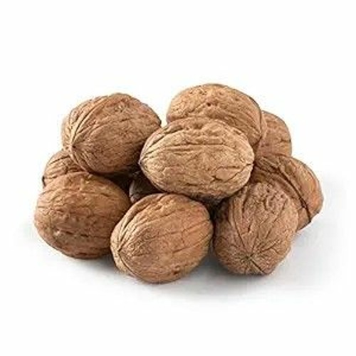 LICK MY NUTS (clip)