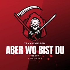 TekkMonster - Elif Aber Wo Bist Du (Tekk Remix 185 Bpm)
