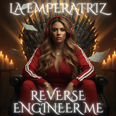 Reverse Engineer Me