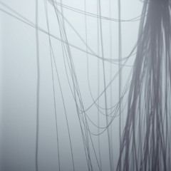Entangled