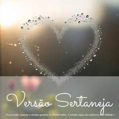 Amor é diferente de amar (Sertanejo)
