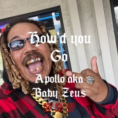 how'd you go - apollo (Engineered by apollo)