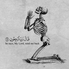 آيات من سورة آل عِمران - شريف مصطفى || تلاوة خاشعة ❤🦋