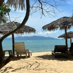 ADAMARK: Moonhut Vibes - Koh Samui 2024