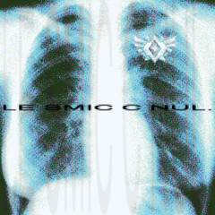 le smic c nul. (mix.Apoo)