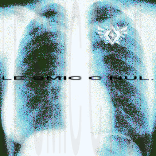le smic c nul. (mix.Apoo)