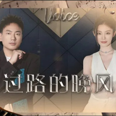 Gió đêm qua đường