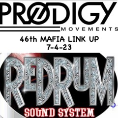 PRODIGY MOVEMENTS MEETS REDRUM SOUNDSYSTEM (46TH MAFIA LINK UP) 7-4-23