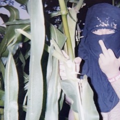 waiting for the sun (rom4n)