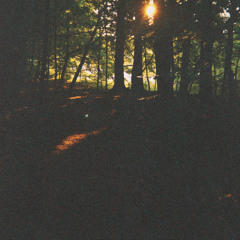 ZXRXKI - BENZXBXY2K (YUNGSTXXZY)