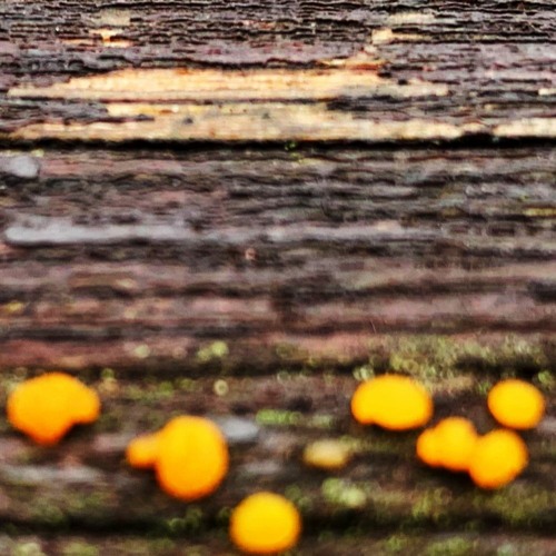 Six Times Seven (CW Edit)