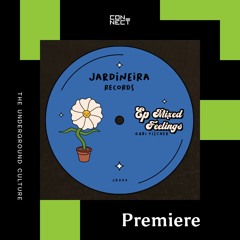 PREMIERE: Gabi Fischer - Wannabe [Jardineira Records]