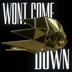 Won't Come Down