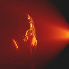 O Elefante da Sala - Joyce Alane (cover) [2024-01-25]