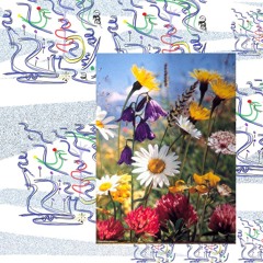 the beauty of being empty