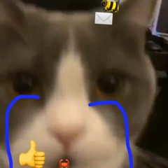 ha