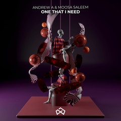 Andrew A & Moosa Saleem - One That I Need [OUT NOW]