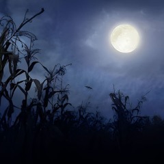 Space Science, Lunar Farming, and Celestial Alignments