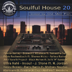 Soulful House 20