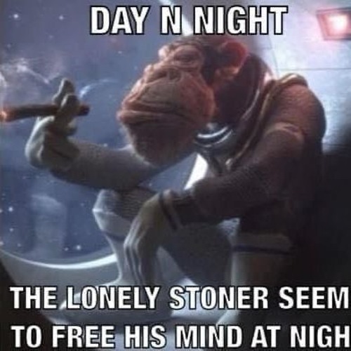 slow riddim at 2am