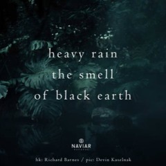 naviarhaiku438 – heavy rain