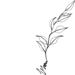 Tierra y canto, para violín solo y soporte fijo