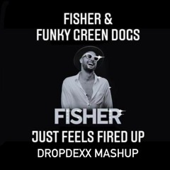 FISHER & FUNKY GREEN DOGS - JUST FEELS FIRED UP (DROPDEXX MASHUP)
