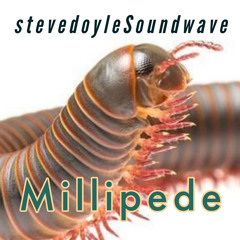 Millipede