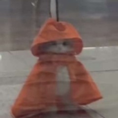 (๑>◡<๑)