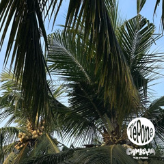 100X100 (cama version)