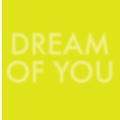 Dream Of You (clip)