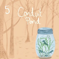 5. Conduit Pond