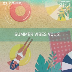 Summer Vibes Vol 2 By DJ P Montana
