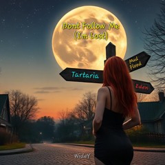Don't Follow Me (I'm Lost)