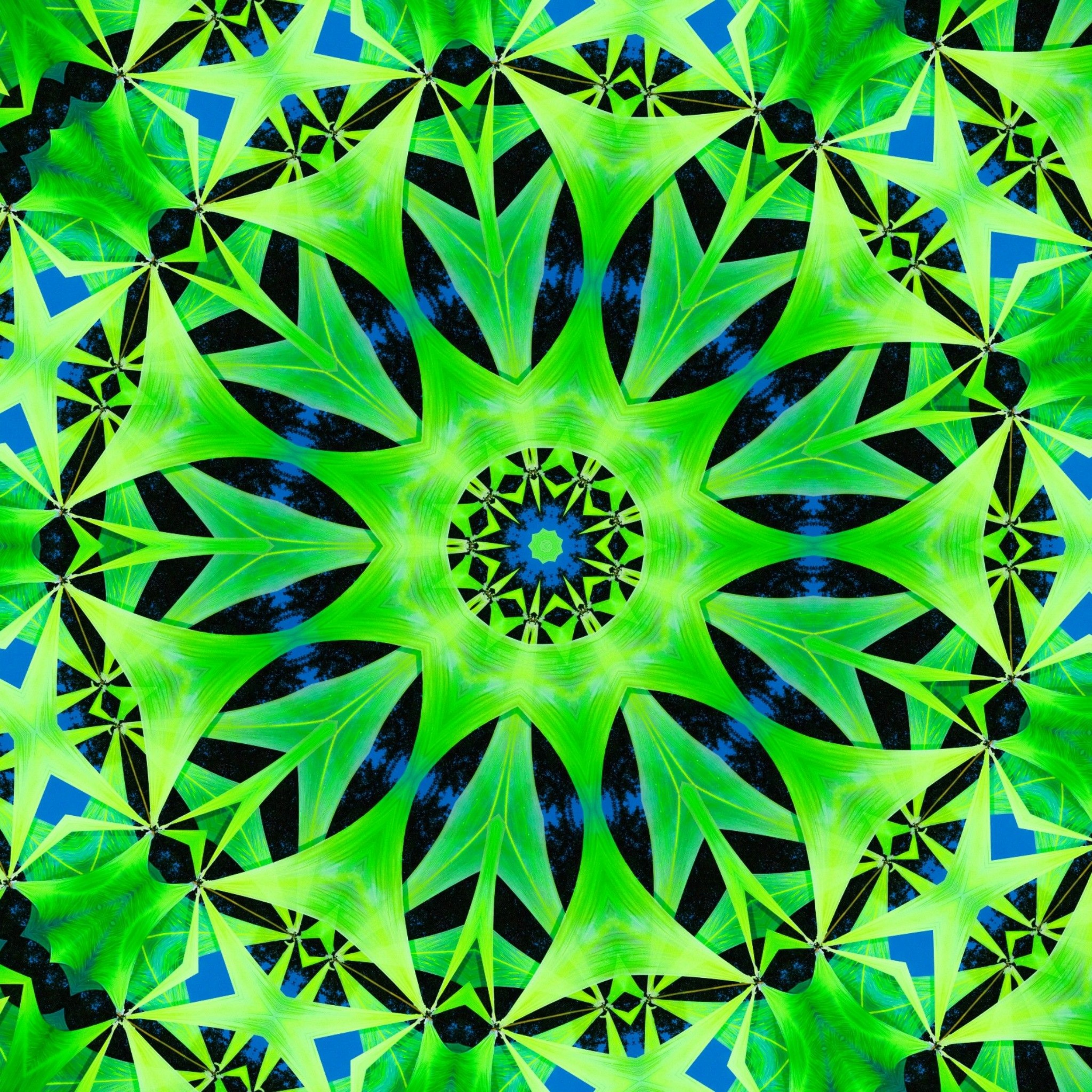 Dimensional Shift