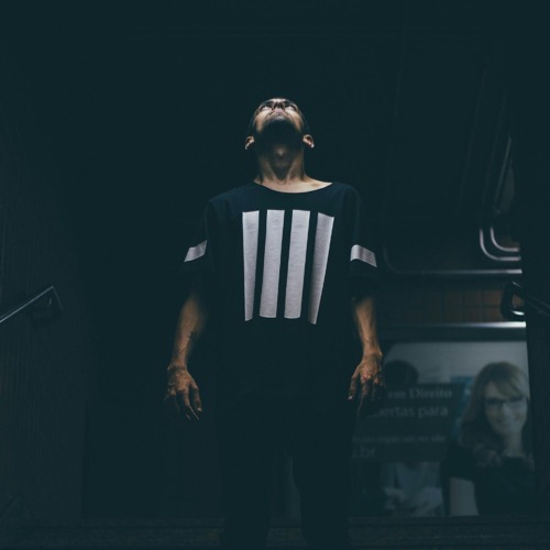 Not giving you up (Echeoing Remix)