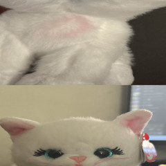 sabcfwjtcm