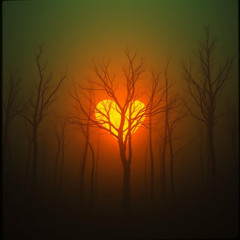 Fire in Babylon (Again)
