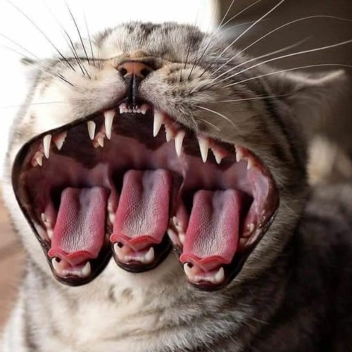 Früh halb 2 in Weida