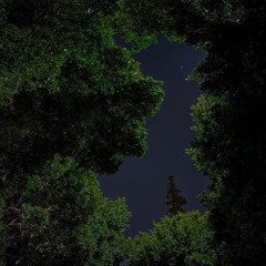 ‏كُنْتُمْ خَيْرَ أُمَّةٍ أُخْرِجَتْ لِلنَّاسِ - القارئه نهى محمد