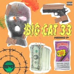 Big Cat 33