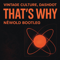 Vintage Culture, Dashdot @ That's Why (Nëwold Bootleg)