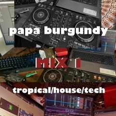 Mix 1 - Tropical/House/Tech