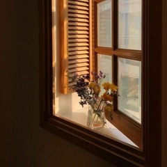 ۗ يَهْدِي اللَّهُ لِنُورِهِ مَن يَشَاءُ|شريف مصطفى.