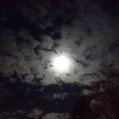 Night Piece for Soprano and Guitar (2019)