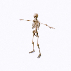 TAKE IT TO THE GRAVE [Reupload]