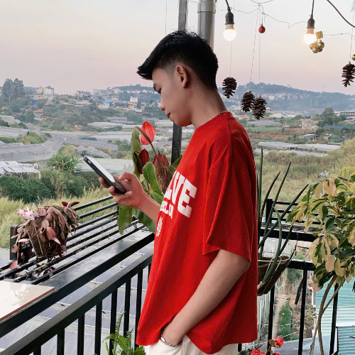 VIỆT MIX 2025-ĐỊA ĐÀNG X MẠNH BÀ
